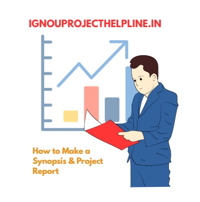 Make project & synopsis